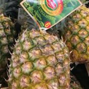 Meet your Posher, Gina